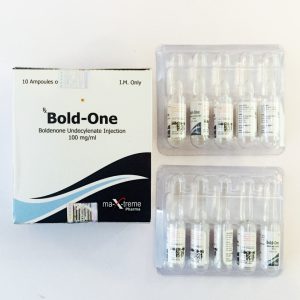Comprare Bold-One online